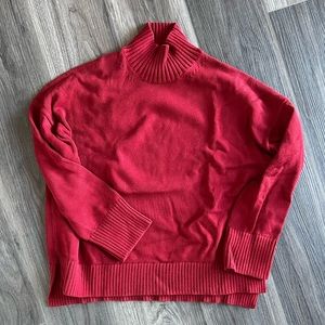 Everlane Mockneck Sweater